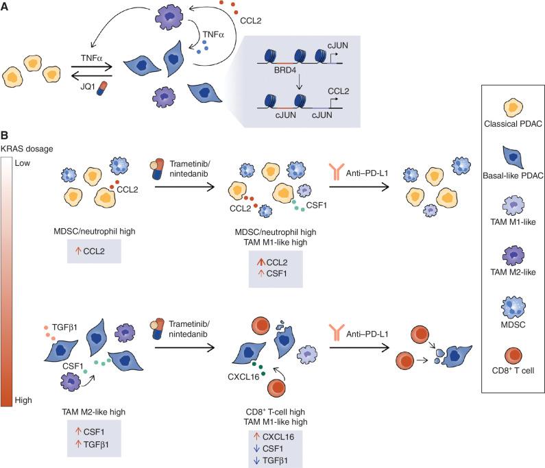 https://cdn.ncbi.nlm.nih.gov/pmc/blobs/6737/9900325/a5375483e688/278fig3.jpg