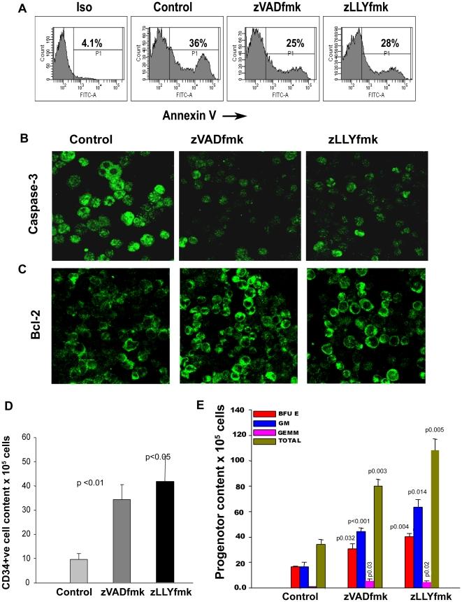 https://cdn.ncbi.nlm.nih.gov/pmc/blobs/6739/2923186/15cb01adf080/pone.0012221.g006.jpg