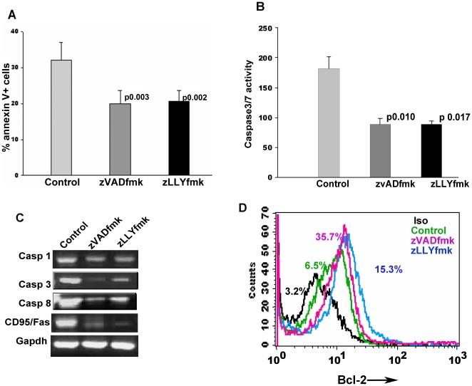 https://cdn.ncbi.nlm.nih.gov/pmc/blobs/6739/2923186/96d4c0f74893/pone.0012221.g001.jpg