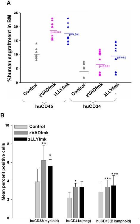 https://cdn.ncbi.nlm.nih.gov/pmc/blobs/6739/2923186/a7a3e69c7e1d/pone.0012221.g005.jpg