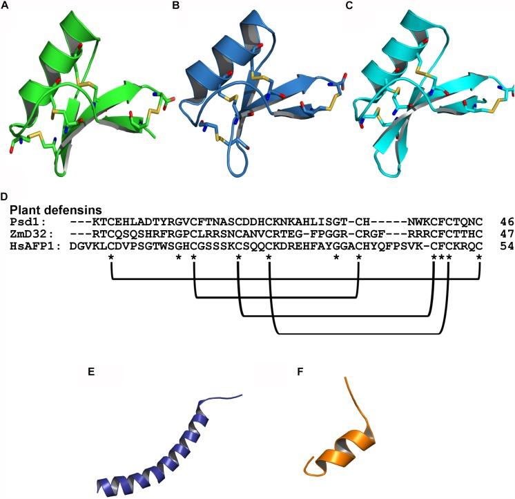 https://cdn.ncbi.nlm.nih.gov/pmc/blobs/6739/6797862/a67ab122e246/fmicb-10-02169-g001.jpg