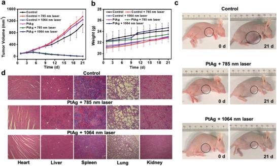 https://cdn.ncbi.nlm.nih.gov/pmc/blobs/6739/8425935/a78cbaa61fa5/ADVS-8-2100386-g005.jpg