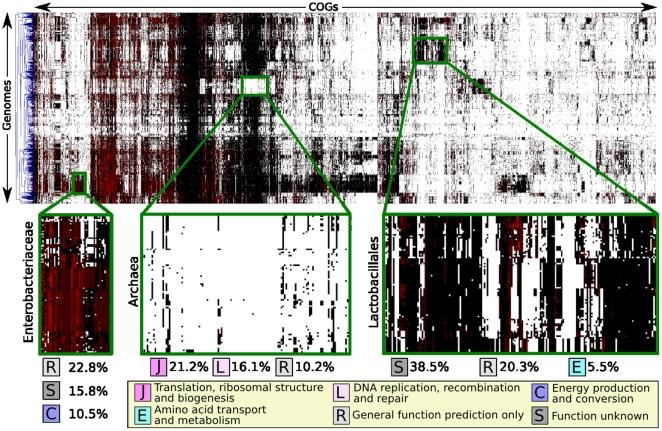 https://cdn.ncbi.nlm.nih.gov/pmc/blobs/673a/3171473/05b62bf4aec4/pone.0024704.g002.jpg