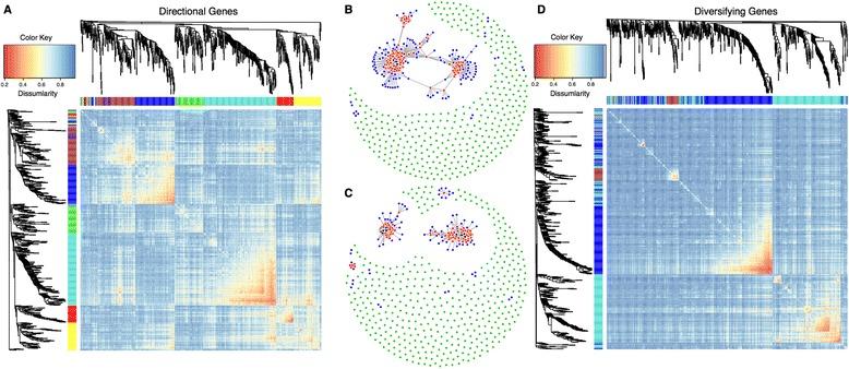 https://cdn.ncbi.nlm.nih.gov/pmc/blobs/673b/4404591/de143a949904/13059_2015_627_Fig6_HTML.jpg