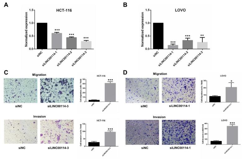 https://cdn.ncbi.nlm.nih.gov/pmc/blobs/673b/7764807/0a61abfca6ea/ijms-21-09359-g007.jpg