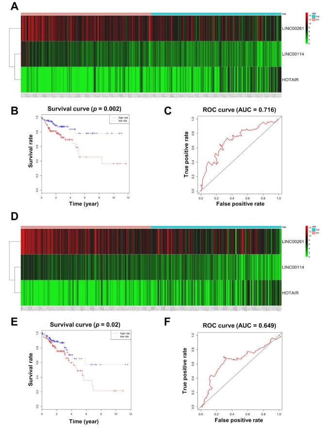 https://cdn.ncbi.nlm.nih.gov/pmc/blobs/673b/7764807/538f519a9e8d/ijms-21-09359-g004.jpg