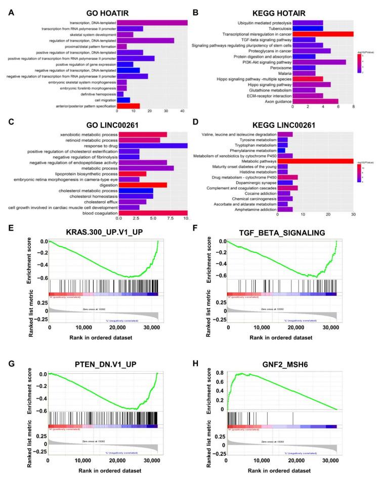 https://cdn.ncbi.nlm.nih.gov/pmc/blobs/673b/7764807/75c4c7dc0aef/ijms-21-09359-g006.jpg