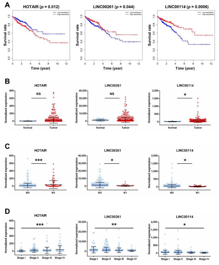 https://cdn.ncbi.nlm.nih.gov/pmc/blobs/673b/7764807/87f6f6ac3c1c/ijms-21-09359-g005.jpg