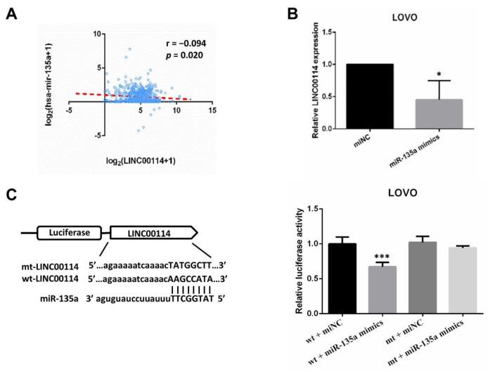 https://cdn.ncbi.nlm.nih.gov/pmc/blobs/673b/7764807/c622b2306f3f/ijms-21-09359-g009.jpg