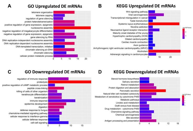 https://cdn.ncbi.nlm.nih.gov/pmc/blobs/673b/7764807/d28ec04c5df2/ijms-21-09359-g002.jpg