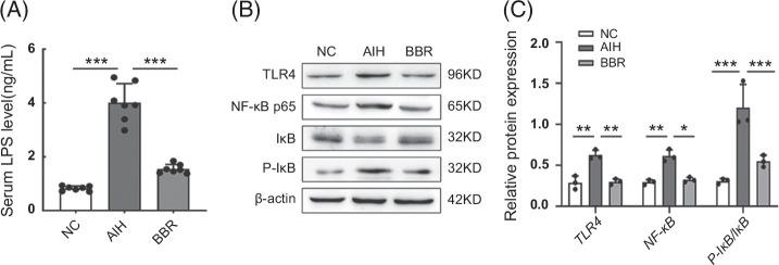 https://cdn.ncbi.nlm.nih.gov/pmc/blobs/673d/10932532/1740d36d8d7e/hc9-8-e0381-g004.jpg