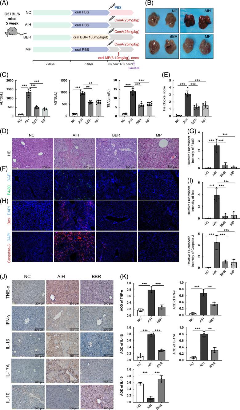 https://cdn.ncbi.nlm.nih.gov/pmc/blobs/673d/10932532/40cf672e3818/hc9-8-e0381-g001.jpg