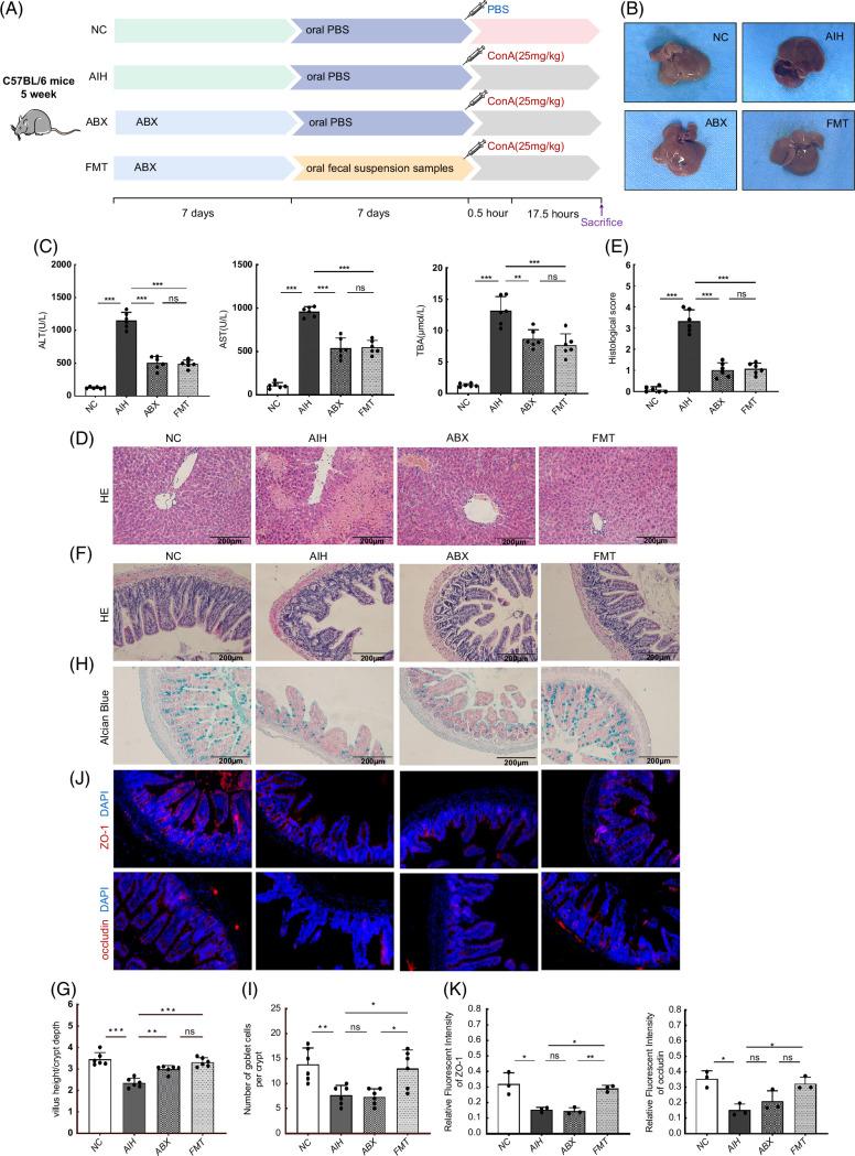 https://cdn.ncbi.nlm.nih.gov/pmc/blobs/673d/10932532/89c1ace1ed03/hc9-8-e0381-g007.jpg