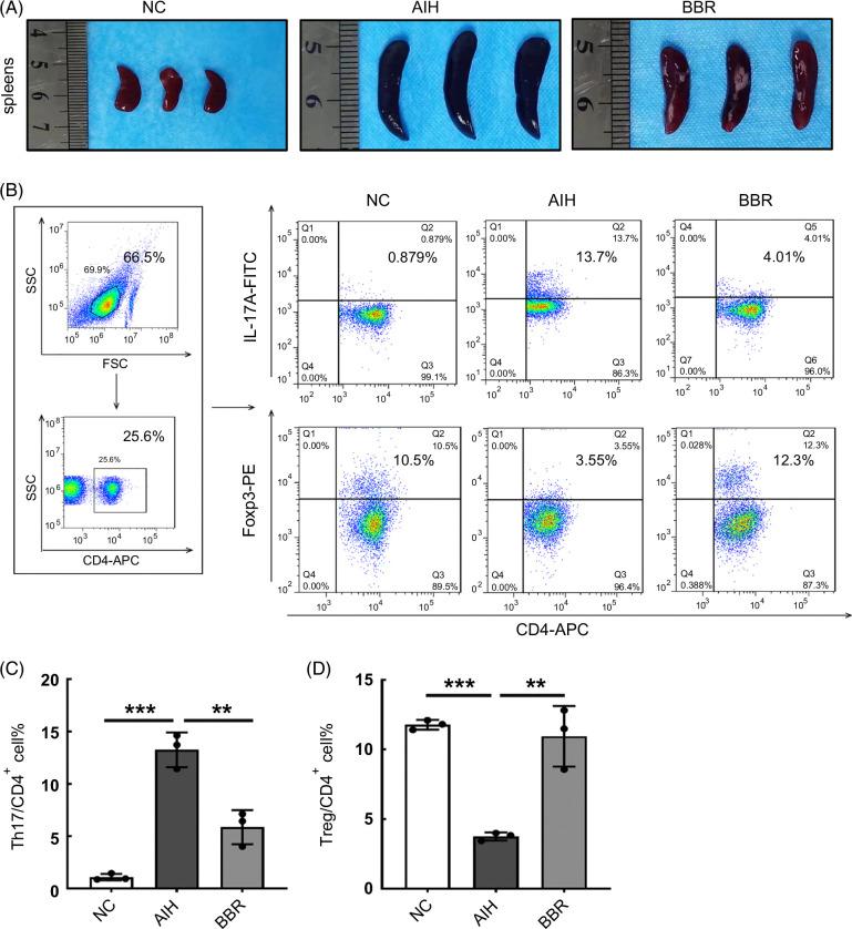 https://cdn.ncbi.nlm.nih.gov/pmc/blobs/673d/10932532/a5707e46b5dd/hc9-8-e0381-g002.jpg