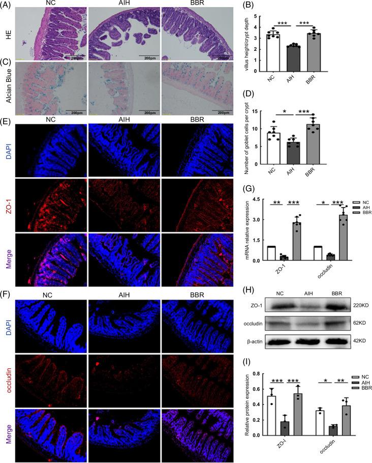 https://cdn.ncbi.nlm.nih.gov/pmc/blobs/673d/10932532/f16767a43456/hc9-8-e0381-g003.jpg