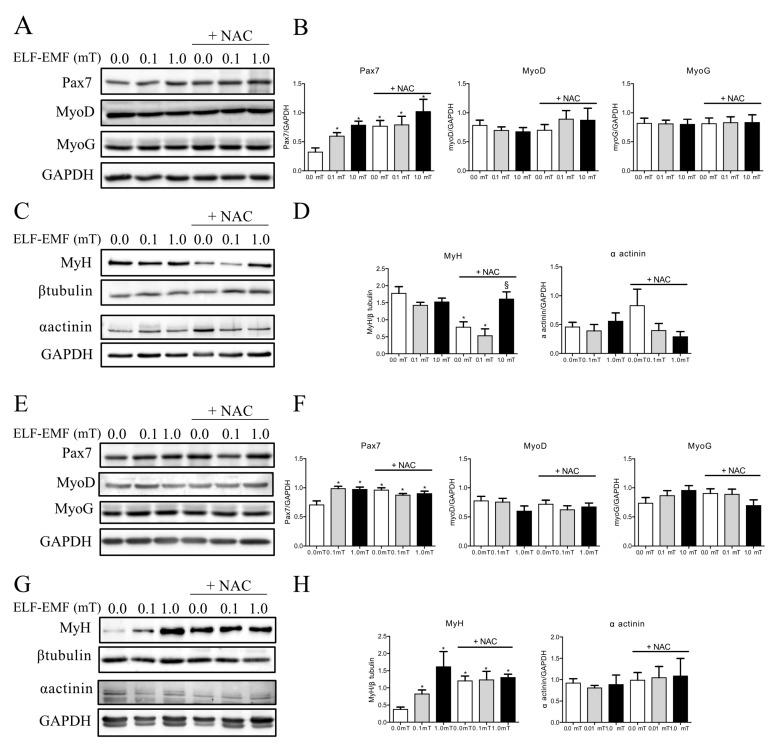 https://cdn.ncbi.nlm.nih.gov/pmc/blobs/673d/11432115/83beda49f908/ijms-25-09857-g002.jpg