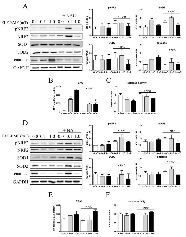 https://cdn.ncbi.nlm.nih.gov/pmc/blobs/673d/11432115/91f564f74f99/ijms-25-09857-g004.jpg