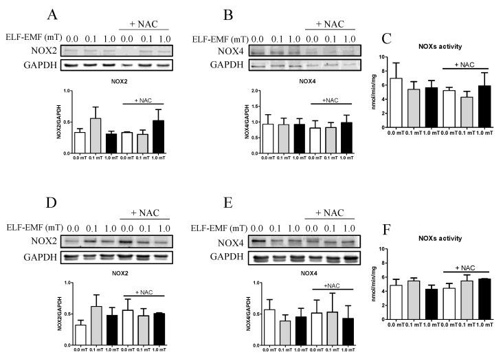 https://cdn.ncbi.nlm.nih.gov/pmc/blobs/673d/11432115/fb5018125dd6/ijms-25-09857-g003.jpg