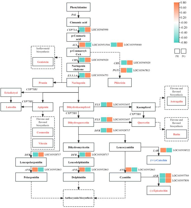 https://cdn.ncbi.nlm.nih.gov/pmc/blobs/673e/11857639/12bd53b2e764/metabolites-15-00081-g006.jpg