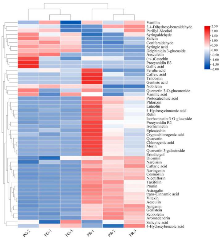 https://cdn.ncbi.nlm.nih.gov/pmc/blobs/673e/11857639/d01cb596e0b6/metabolites-15-00081-g004.jpg