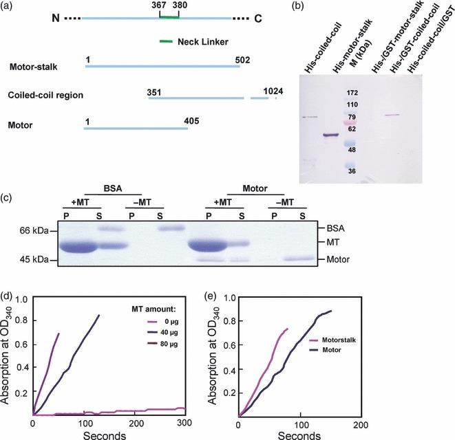 https://cdn.ncbi.nlm.nih.gov/pmc/blobs/673f/3440585/34beadc33fc5/tpj0063-0312-f6.jpg