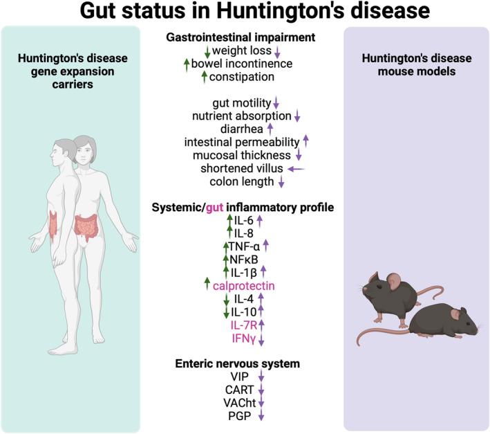 https://cdn.ncbi.nlm.nih.gov/pmc/blobs/6740/11927060/d68777b5d842/FEBS-292-1282-g001.jpg