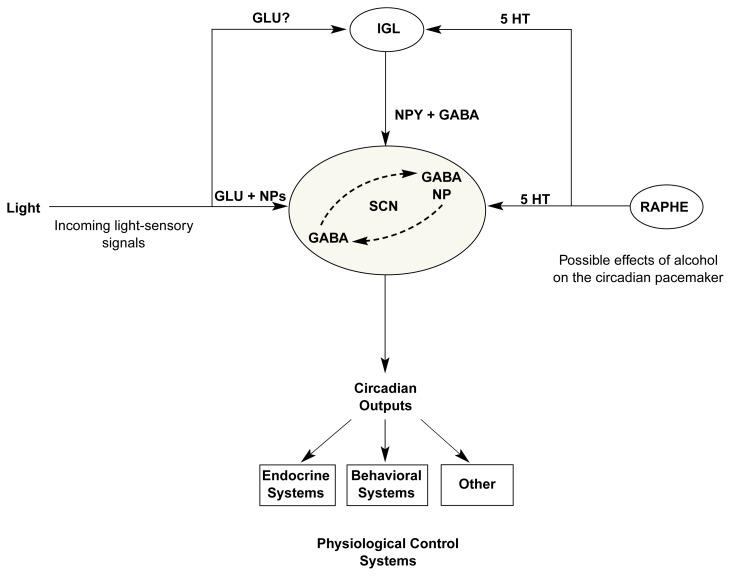 https://cdn.ncbi.nlm.nih.gov/pmc/blobs/6741/6707123/05623341cb96/arcr-25-2-126f2.jpg