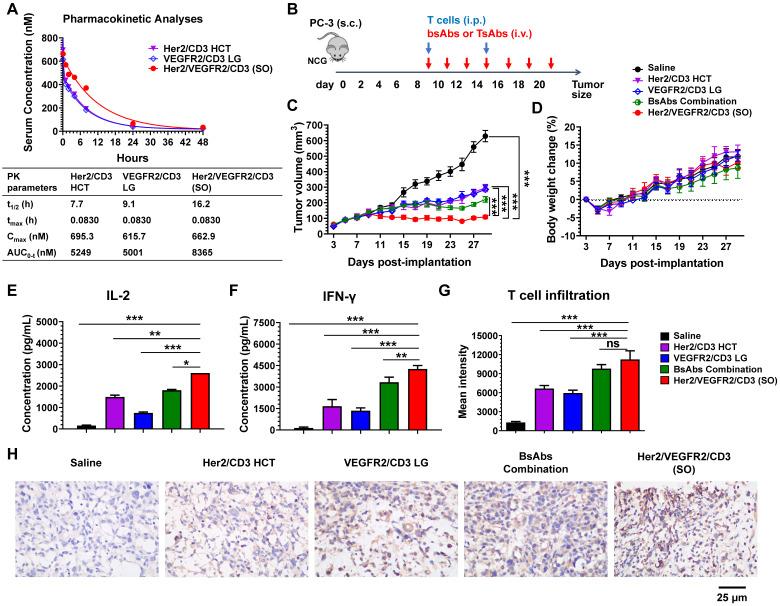 https://cdn.ncbi.nlm.nih.gov/pmc/blobs/6741/9706591/158e9a987378/thnov12p7788g004.jpg
