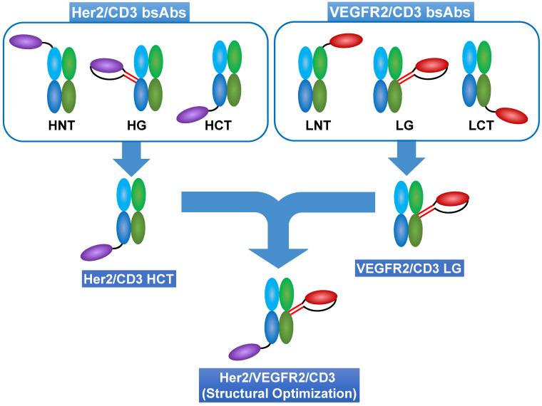 https://cdn.ncbi.nlm.nih.gov/pmc/blobs/6741/9706591/6810cd80e94a/thnov12p7788g001.jpg