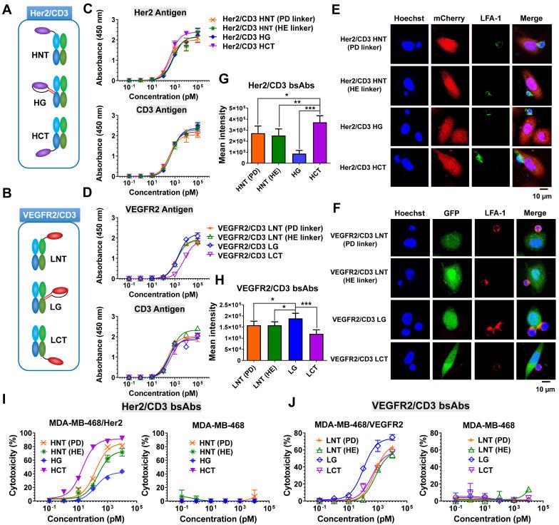https://cdn.ncbi.nlm.nih.gov/pmc/blobs/6741/9706591/6b328a4e5802/thnov12p7788g002.jpg