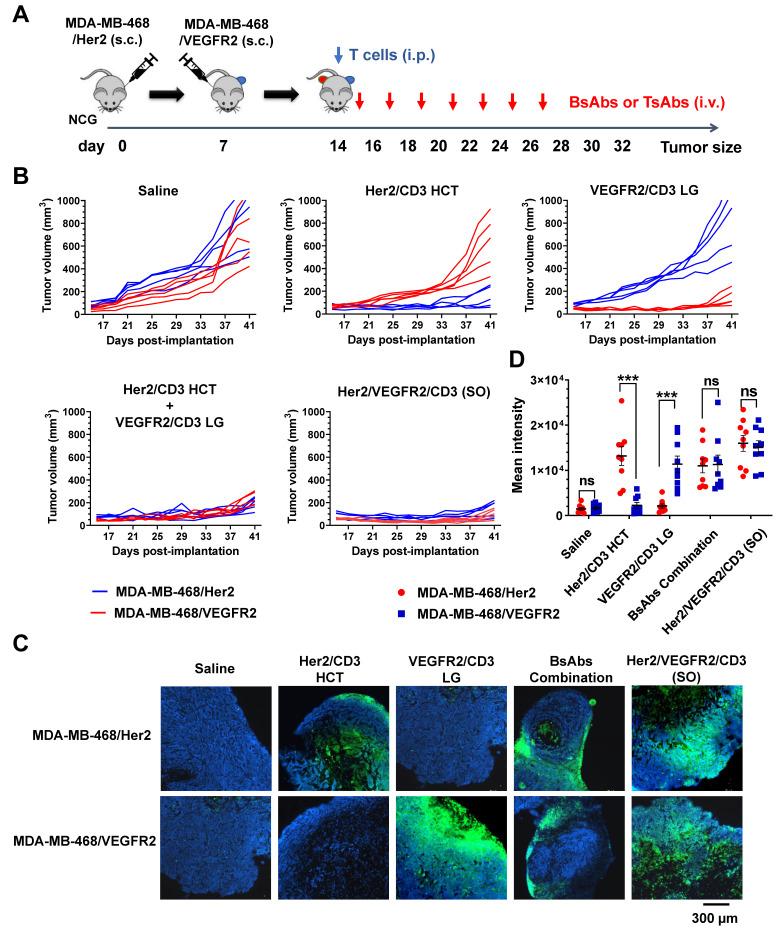 https://cdn.ncbi.nlm.nih.gov/pmc/blobs/6741/9706591/824eb89c9df5/thnov12p7788g006.jpg
