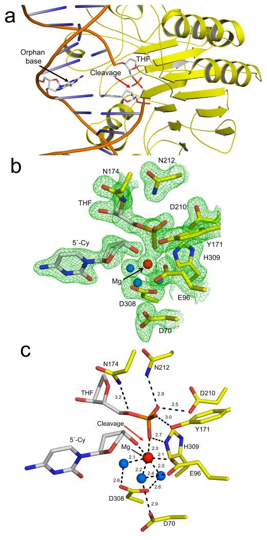 https://cdn.ncbi.nlm.nih.gov/pmc/blobs/6743/4654669/313ca9ab84e5/nihms721537f1.jpg