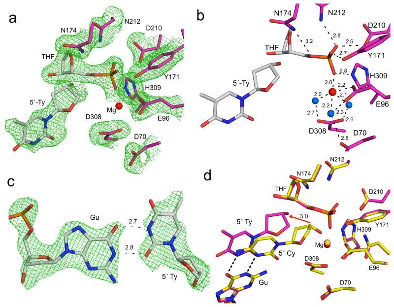 https://cdn.ncbi.nlm.nih.gov/pmc/blobs/6743/4654669/94e13a5666bd/nihms721537f6.jpg