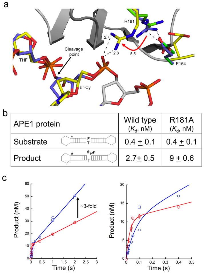 https://cdn.ncbi.nlm.nih.gov/pmc/blobs/6743/4654669/9f8933e9babf/nihms721537f2.jpg