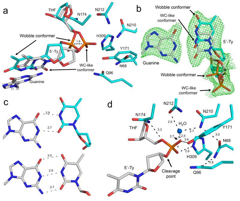 https://cdn.ncbi.nlm.nih.gov/pmc/blobs/6743/4654669/ab3cc6b61ea3/nihms721537f5.jpg