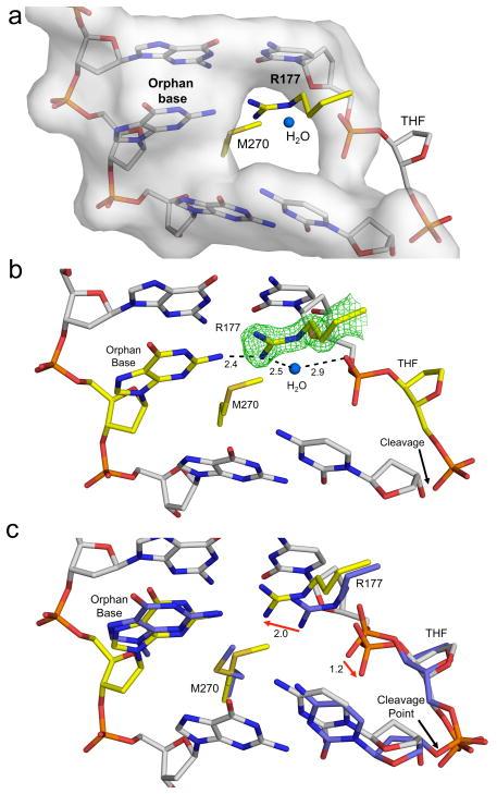 https://cdn.ncbi.nlm.nih.gov/pmc/blobs/6743/4654669/c05163bab828/nihms721537f3.jpg