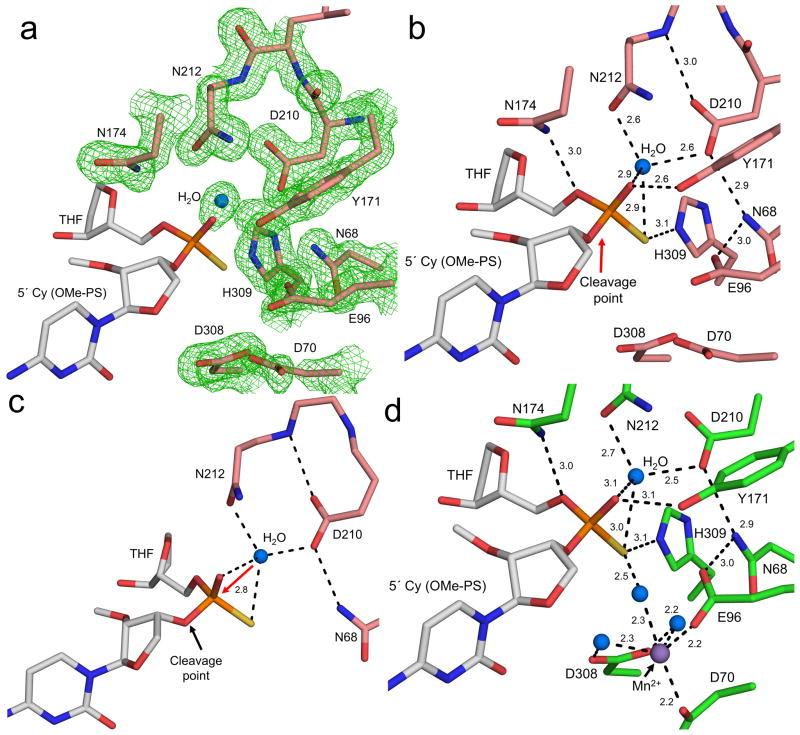 https://cdn.ncbi.nlm.nih.gov/pmc/blobs/6743/4654669/d0eeedbd62c4/nihms721537f4.jpg