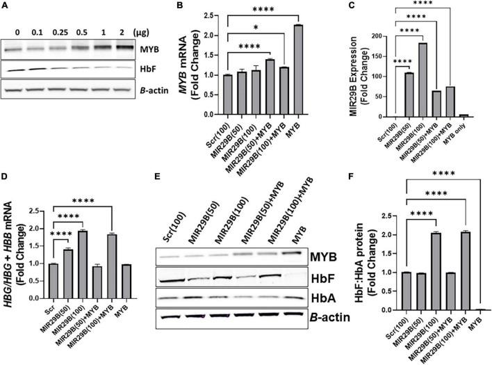 https://cdn.ncbi.nlm.nih.gov/pmc/blobs/6743/9732025/8bdfed883a34/fmed-09-1043686-g002.jpg