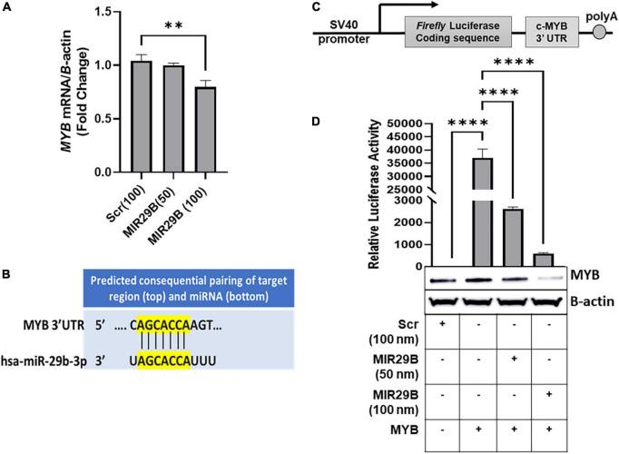 https://cdn.ncbi.nlm.nih.gov/pmc/blobs/6743/9732025/a8879e3cd33a/fmed-09-1043686-g001.jpg