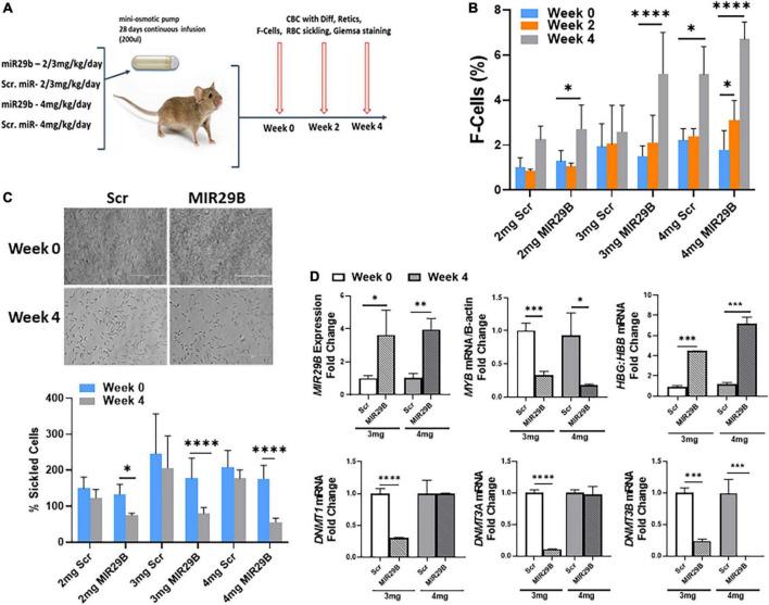 https://cdn.ncbi.nlm.nih.gov/pmc/blobs/6743/9732025/c395865ce7e4/fmed-09-1043686-g004.jpg