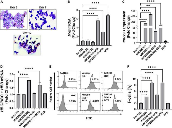 https://cdn.ncbi.nlm.nih.gov/pmc/blobs/6743/9732025/f9aa612044fc/fmed-09-1043686-g003.jpg