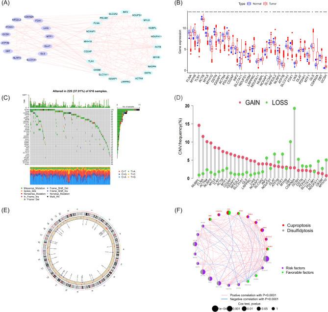 https://cdn.ncbi.nlm.nih.gov/pmc/blobs/6744/11840156/419a948b71c5/41598_2025_90653_Fig2_HTML.jpg