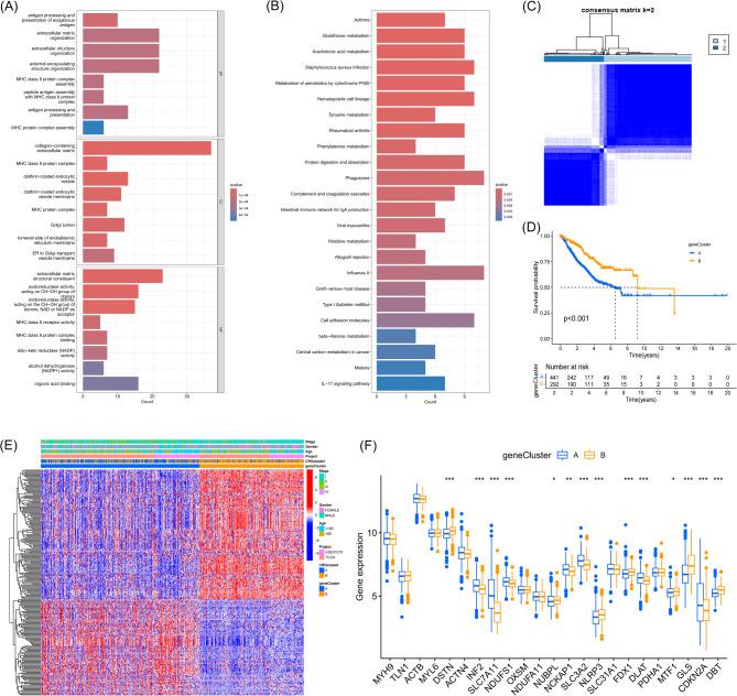 https://cdn.ncbi.nlm.nih.gov/pmc/blobs/6744/11840156/45ad29f78220/41598_2025_90653_Fig4_HTML.jpg