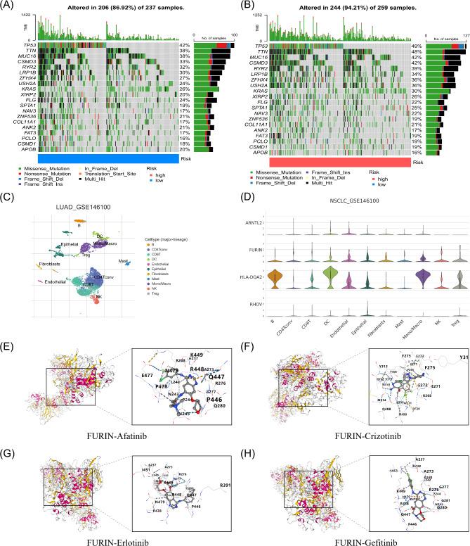 https://cdn.ncbi.nlm.nih.gov/pmc/blobs/6744/11840156/5ec93b0514ed/41598_2025_90653_Fig7_HTML.jpg