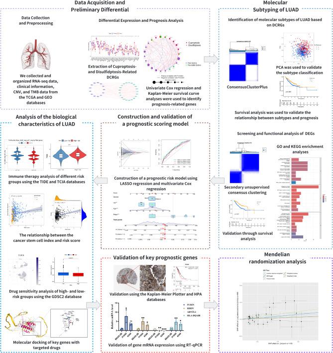 https://cdn.ncbi.nlm.nih.gov/pmc/blobs/6744/11840156/bd0d4fbe445c/41598_2025_90653_Fig1_HTML.jpg