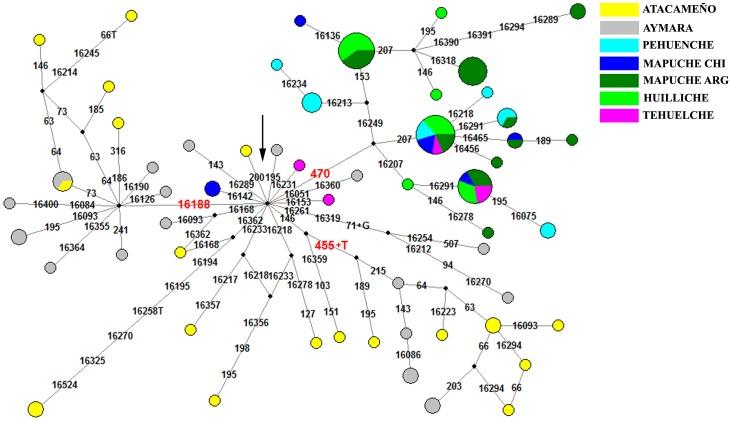 https://cdn.ncbi.nlm.nih.gov/pmc/blobs/6748/3438176/c5fb43971483/pone.0043486.g003.jpg