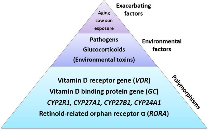 https://cdn.ncbi.nlm.nih.gov/pmc/blobs/6749/8058406/72c9fa21a27b/fimmu-12-655739-g002.jpg