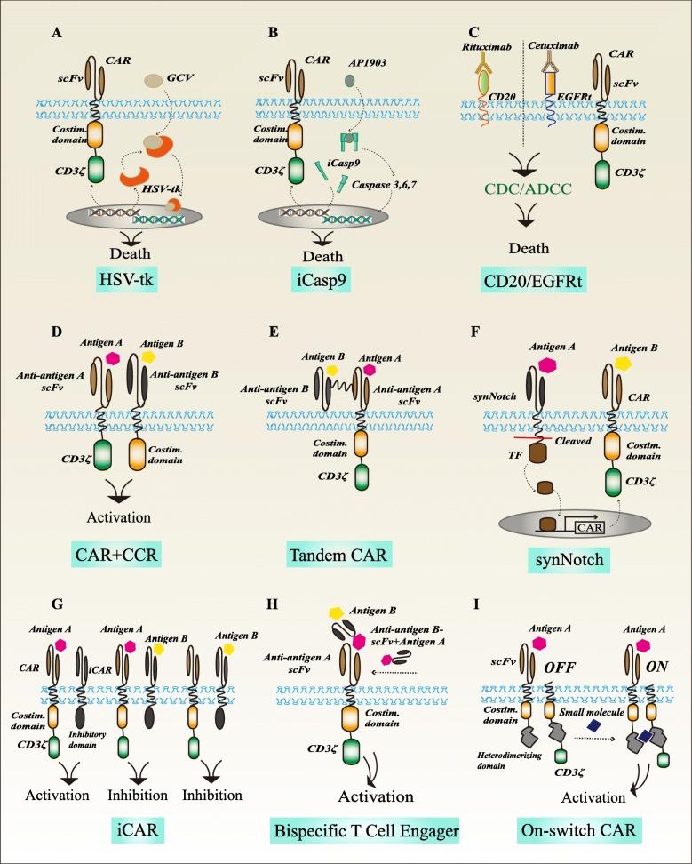 https://cdn.ncbi.nlm.nih.gov/pmc/blobs/674a/6701025/9e67ee1748c4/12943_2019_1057_Fig1_HTML.jpg