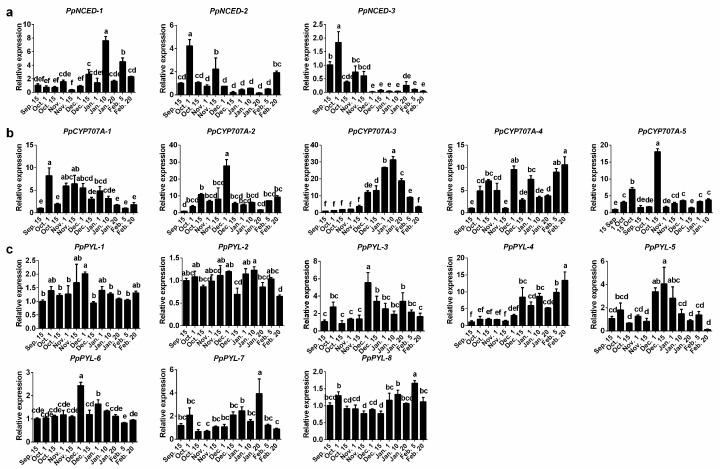 https://cdn.ncbi.nlm.nih.gov/pmc/blobs/674d/5796254/42478fec2cf0/ijms-19-00310-g004.jpg