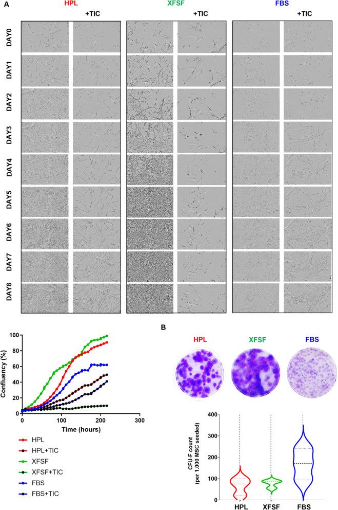 https://cdn.ncbi.nlm.nih.gov/pmc/blobs/674e/11603324/5d2660f35ef0/41598_2024_80050_Fig2_HTML.jpg